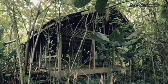 Potret Rumah Mewah Ahmad Dhani di Tengah Hutan Terbengkalai Sejak 2015