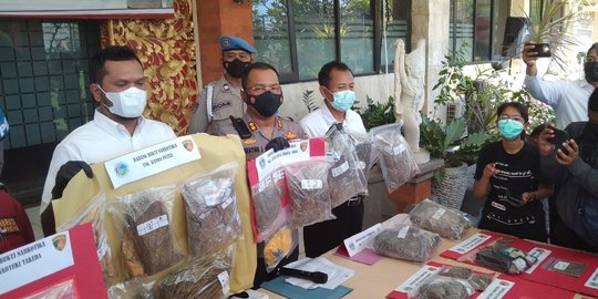 Anak Ketua DPRD Badung Ditangkap karena Miliki Ganja, Polisi Tidak Hadirkan Pelaku