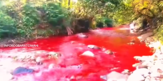 Heboh Air Sungai Cimeta Sempat Berubah Warna Jadi Merah Darah, Begini Potretnya