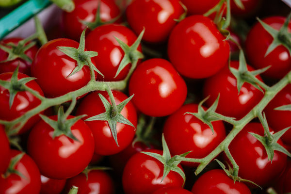 ilustrasi tomat ceri