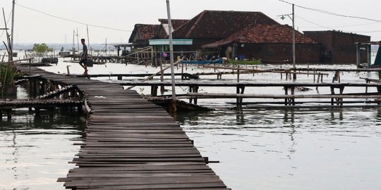 Analisis Badan Geologi Penyebab Penurunan Tanah di Pantura Jateng