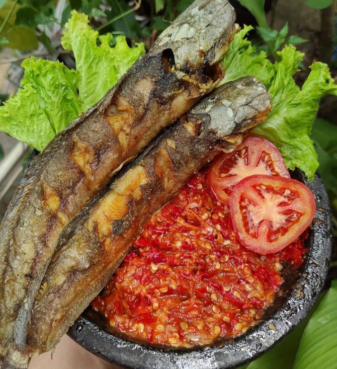 12 resep kreasi lele goreng sajian lezat cocok untuk menu makan malam