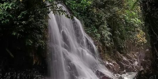 Punya Pesona Alam Bak di Amerika, Ini 3 Obyek Wisata di Hutan Petungkriyono