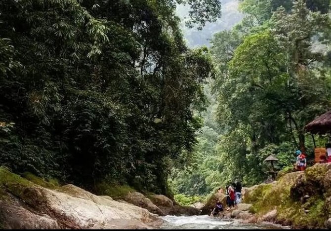 obyek wisata di hutan petungkriyono