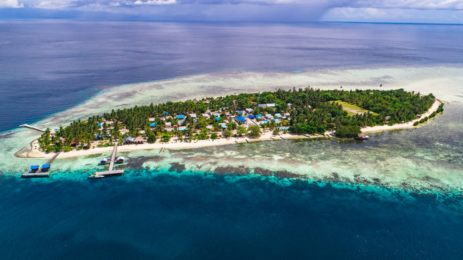 arborek raja ampat