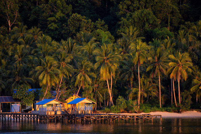 arborek raja ampat