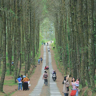 wisata dekat borobudur