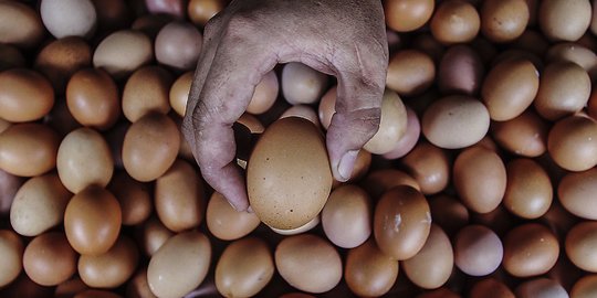 Terus Naik, Harga Telur Ayam Nyaris Tembus Rp30 Ribu per Kg