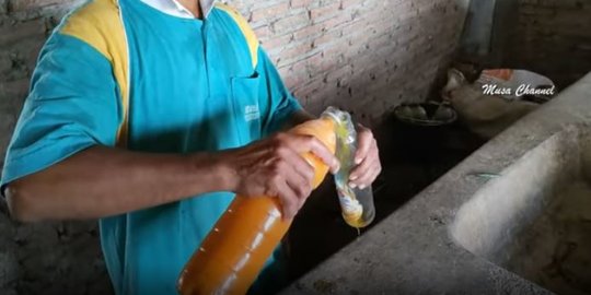 Cegah PMK, Peternak di Rembang Buat Ramuan Ini untuk Meningkatkan Imun Sapi
