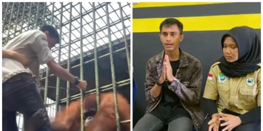 Viral Pria Ditarik Orang Utan di Kebun Binatang, Ternyata Ini Faktanya