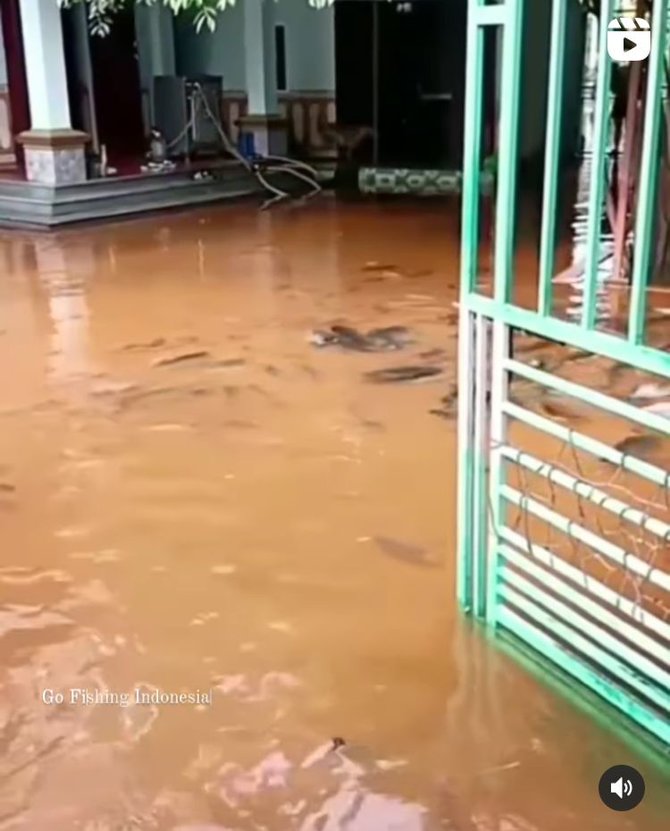 halaman rumah warga penuh ikan