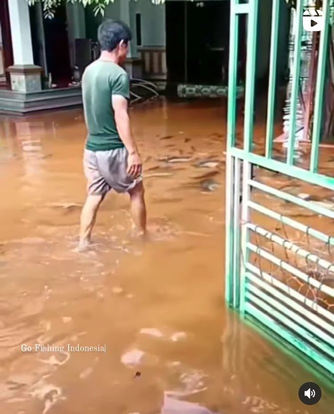 halaman rumah warga penuh ikan