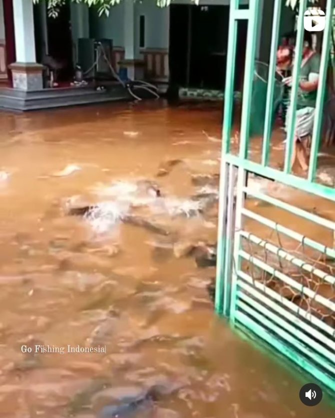 halaman rumah warga penuh ikan