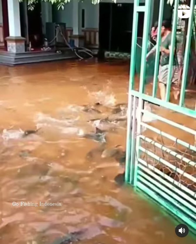 halaman rumah warga penuh ikan