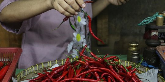 Harga Cabai Terus Meroket