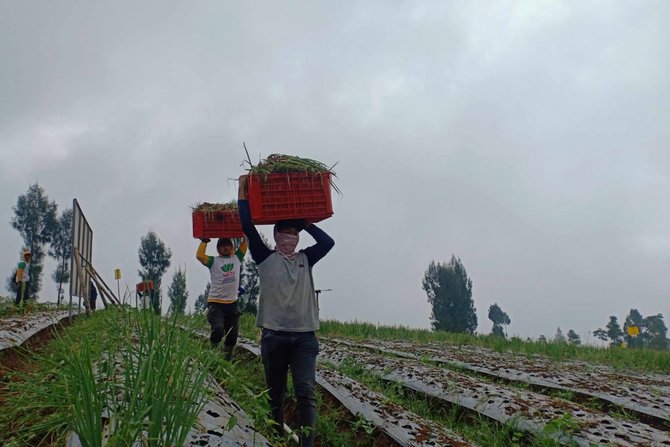 lumbung tani di temanggung