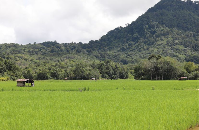program food estate