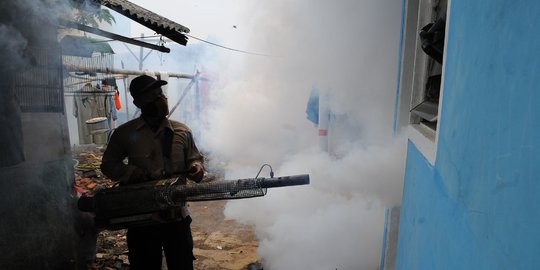 Banyak Warga Karangasem Diserang Chikungunya, Ini Penyebab dan Gejalanya