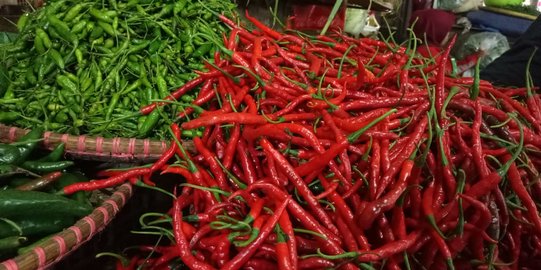 Banjarnegara Pasok Cabai Merah Keriting dan Rawit Hijau Belasan Ton ke Jabodetabek