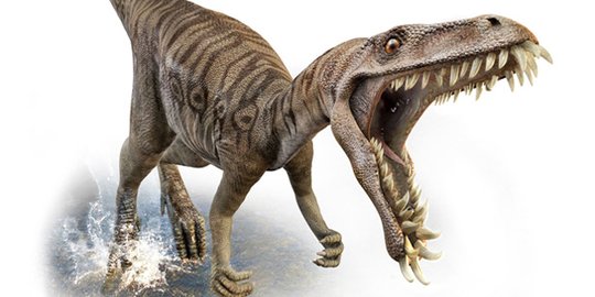 Peneliti Inggris Temukan Dinosaurus Predator Terbesar di Eropa