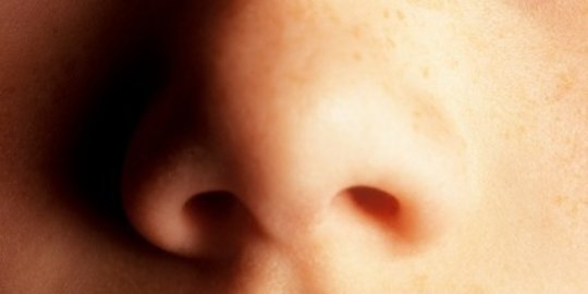 Penyebab Munculnya Jerawat di Dalam Hidung dan Cara Mengatasinya