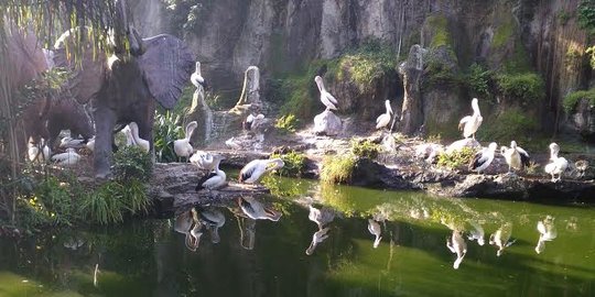 Jelang Libur Sekolah, Masyarakat Diimbau Liburan ke Destinasi Wisata Lokal