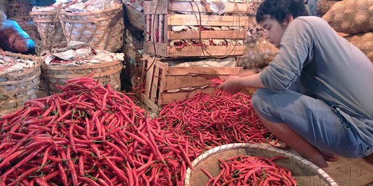Pasokan Tipis, Harga Cabai Merah di Sumut Tembus Rp100.000 per Kg