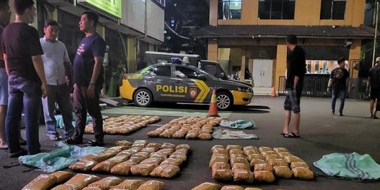 Polisi Bongkar Penyelundupan Ratusan Kilogram Ganja, Satu Orang Ditangkap