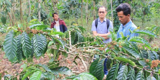 Bustanul Arifin: Korporasi Petani Kopi Mampu Tingkatkan Kesejahteraan Petani Bandung