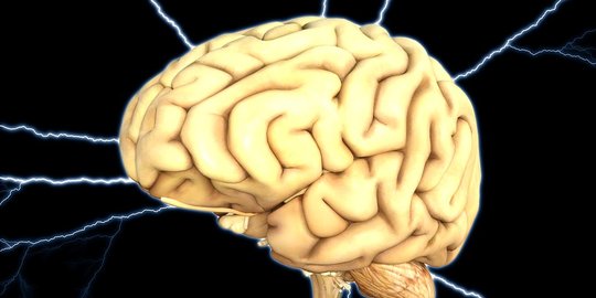 Mengenal Batang Otak, Fungsi dan Penyakit Penyerta yang Perlu Diwaspadai