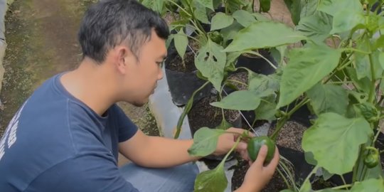 Perwakilan PBB Datangi Petani di Jatim Pastikan Bantuan Tepat Sasaran