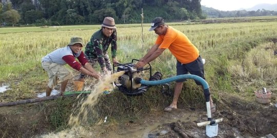 Jaga Ketahanan Pangan, Pemerintah Diminta Perbaiki Data Petani Penerima Pupuk Subsidi