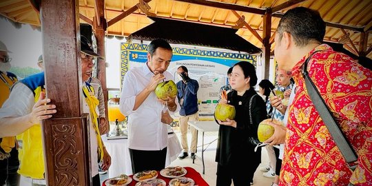 Aksi Menteri Basuki Cairkan Suasana Minta Jokowi dan Puan Minum Kelapa Muda