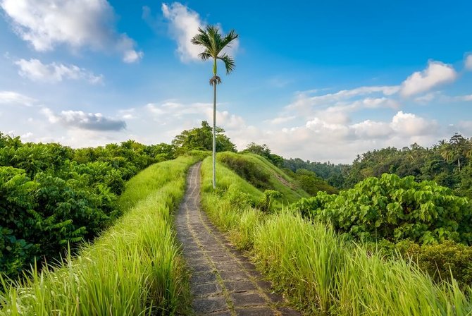 wisata di ubud