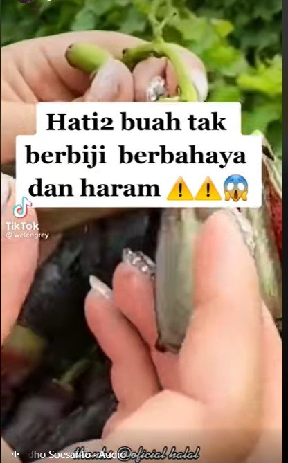 hoaks buah hasil rekayasa genetika tak berbiji berbahaya dan haram