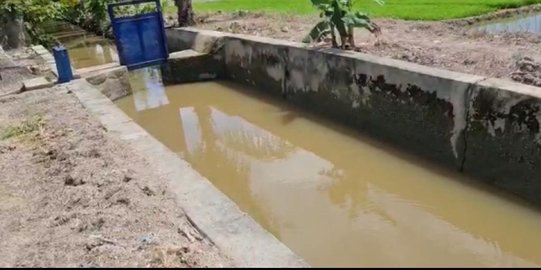 DAM Parit Kementan Perluas Areal Pertanian di Kabupaten Mamuju