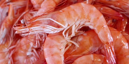 Cara Masak Udang yang Perlu Diperhatikan, Mulai dari Memilih hingga Menyimpannya