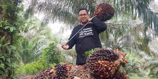 Mendag Zulhas Minta Produsen Minyak Beli Sawit Rakyat Rp1.600 per Kg