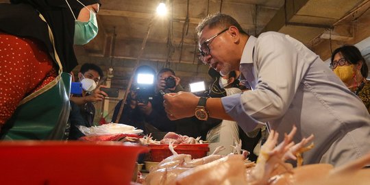 Tengah Kelebihan Pasokan, RI Siap Sasar Pasar Ekspor Ayam Singapura