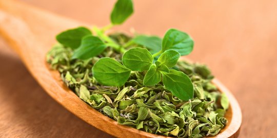 Oregano adalah Penyedap Makanan Herbal, Ketahui Manfaatnya untuk Kesehatan