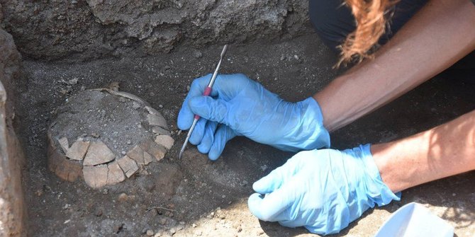 Fosil Kura-Kura Hamil yang Terkubur 2.000 Tahun Lalu Ditemukan di Situs Pompeii