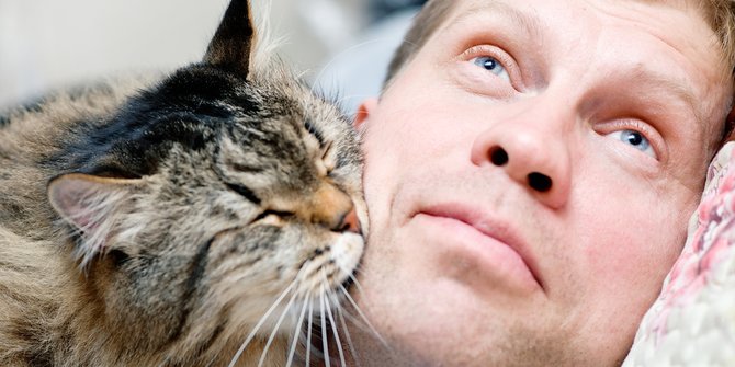 6 Jenis Vaksin untuk Kucing yang Penting Diketahui Pemilik