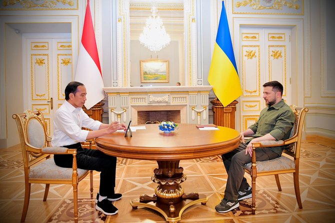 pertemuan jokowi dengan presiden ukraina di istana maryinsky