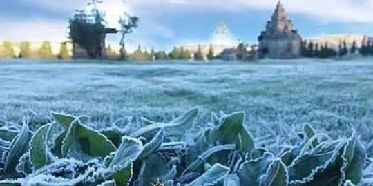 Fenomena Embun Upas Mulai Muncul di Dieng, Ini 3 Faktanya