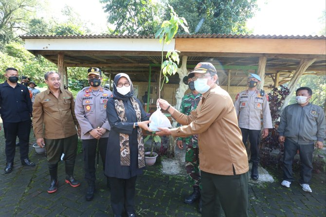 banyuwangi tanam 7600 pohon di jalur ijen