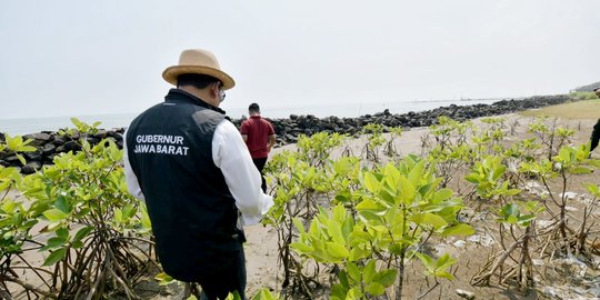 Ratusan Hektare Daratan di Pesisir Jabar Jadi Lautan