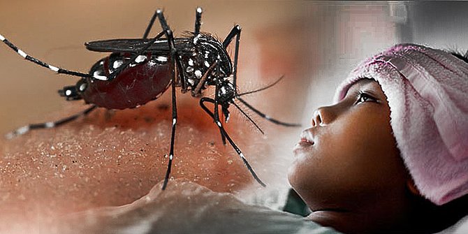 Virus Zika dan Demam Berdarah Membuat Manusia Lebih Menarik Bagi Nyamuk