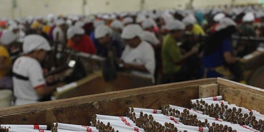 Kurangi Dampak Rokok, Pemerintah Diminta Perkuat Regulasi Produk Alternatif Tembakau