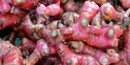 10 Manfaat Jahe Merah untuk Tubuh, Bantu Tingkatkan Kesuburan Pria