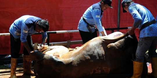 Masyarakat Bisa Rayakan Idul Adha, Ini Syaratnya